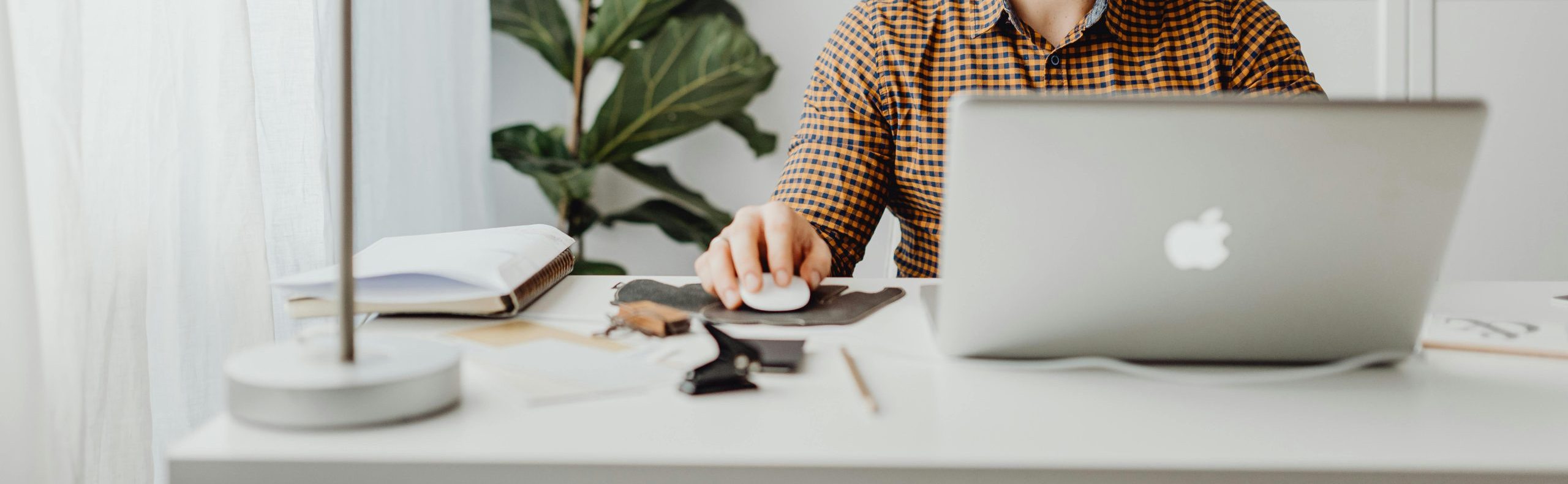 Curso de front-end developer