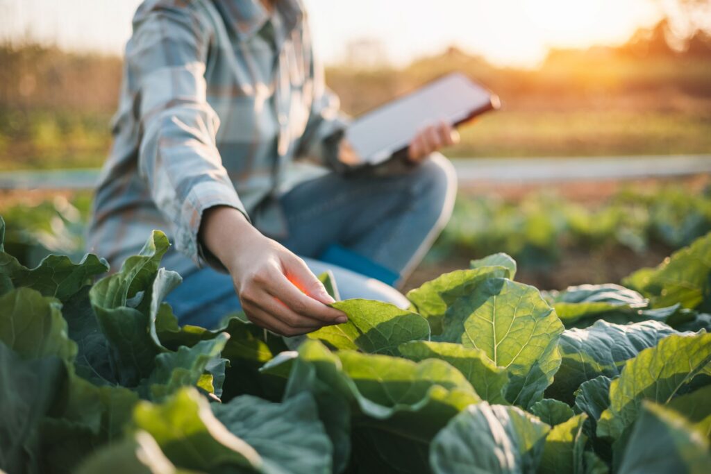 melhores cursos de agricultura